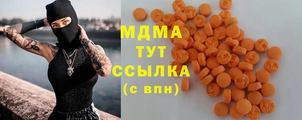 индика Вяземский