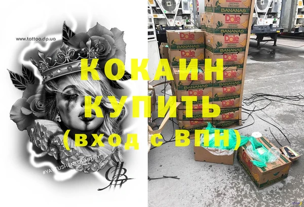 индика Вяземский