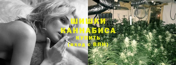 индика Вяземский